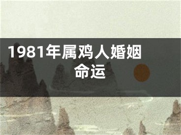 1981年属鸡人婚姻命运