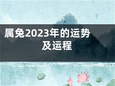 属兔2023年的运势及运程