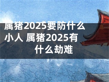 属猪2025要防什么小人 属猪2025有什么劫难