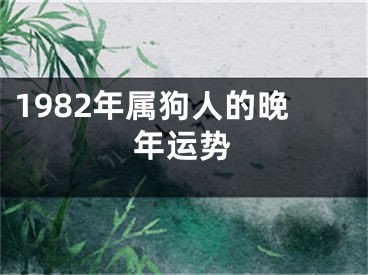 1982年属狗人的晚年运势