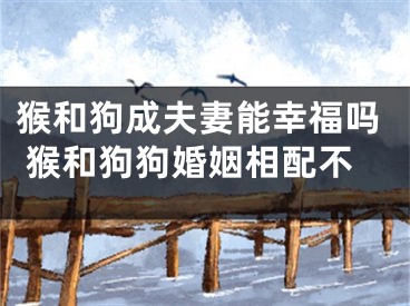 猴和狗成夫妻能幸福吗 猴和狗狗婚姻相配不