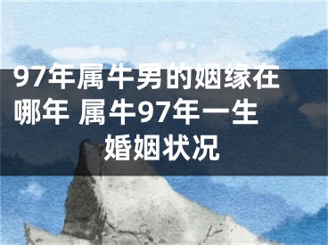 97年属牛男的姻缘在哪年 属牛97年一生婚姻状况