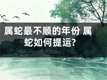 属蛇最不顺的年份 属蛇如何提运?