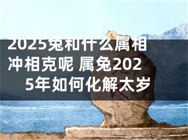 2025兔和什么属相冲相克呢 属兔2025年如何化解太岁