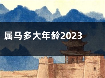 属马多大年龄2023