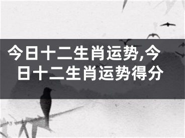 今日十二生肖运势,今日十二生肖运势得分