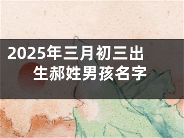 2025年三月初三出生郝姓男孩名字