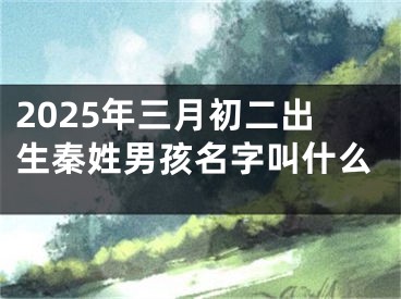 2025年三月初二出生秦姓男孩名字叫什么