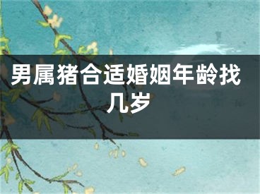 男属猪合适婚姻年龄找几岁