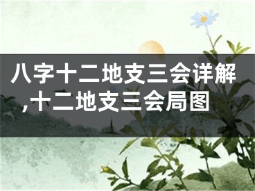 八字十二地支三会详解,十二地支三会局图