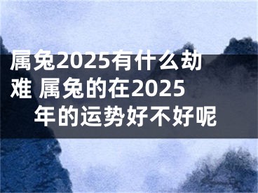 属兔2025有什么劫难 属兔的在2025年的运势好不好呢