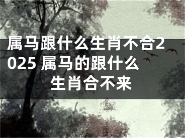 属马跟什么生肖不合2025 属马的跟什么生肖合不来