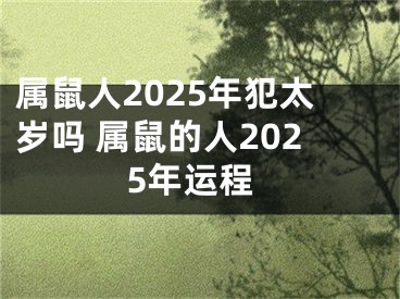 属鼠人2025年犯太岁吗 属鼠的人2025年运程