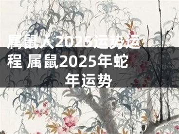 属鼠人2025运势运程 属鼠2025年蛇年运势