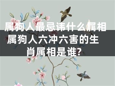属狗人最忌讳什么属相 属狗人六冲六害的生肖属相是谁?