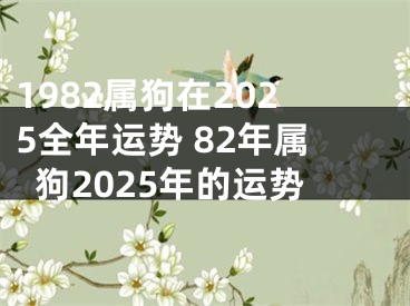 1982属狗在2025全年运势 82年属狗2025年的运势