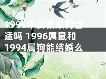1996年属鼠跟狗合适吗 1996属鼠和1994属狗能结婚么
