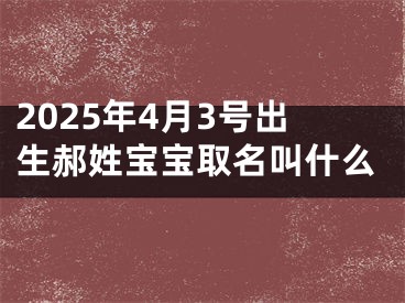 2025年4月3号出生郝姓宝宝取名叫什么