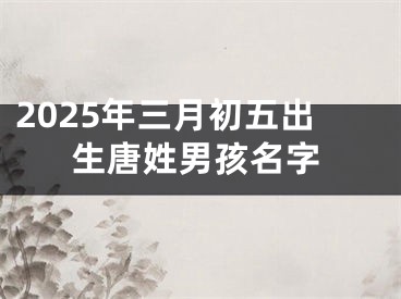 2025年三月初五出生唐姓男孩名字