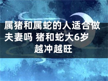 属猪和属蛇的人适合做夫妻吗 猪和蛇大6岁越冲越旺