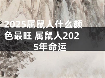 2025属鼠人什么颜色最旺 属鼠人2025年命运