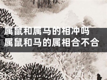 属鼠和属马的相冲吗 属鼠和马的属相合不合