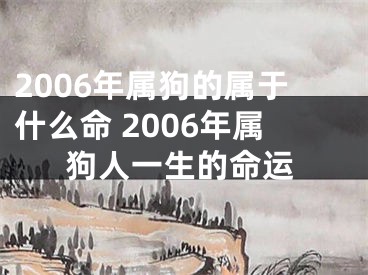 2006年属狗的属于什么命 2006年属狗人一生的命运