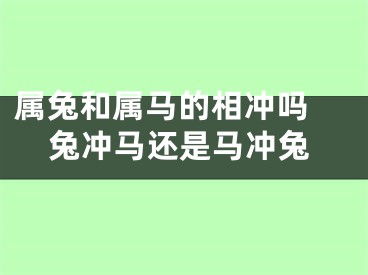 属兔和属马的相冲吗 兔冲马还是马冲兔