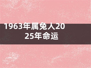 1963年属兔人2025年命运