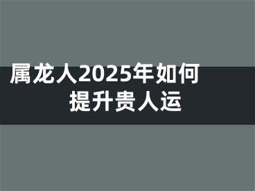 属龙人2025年如何提升贵人运