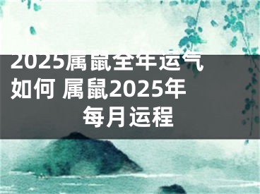 2025属鼠全年运气如何 属鼠2025年每月运程