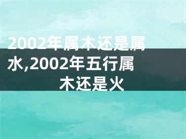 2002年属木还是属水,2002年五行属木还是火