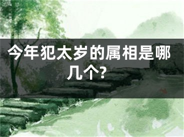 今年犯太岁的属相是哪几个?