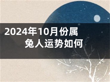 2024年10月份属兔人运势如何