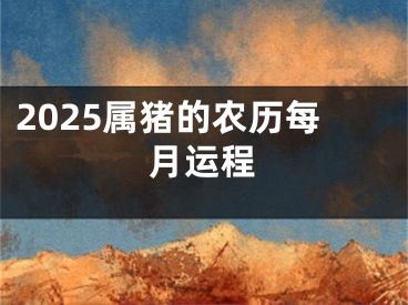 2025属猪的农历每月运程