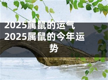 2025属鼠的运气 2025属鼠的今年运势