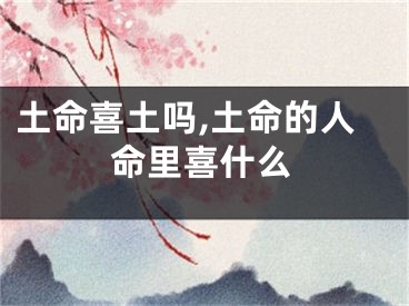 土命喜土吗,土命的人命里喜什么