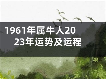 1961年属牛人2023年运势及运程