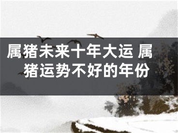 属猪未来十年大运 属猪运势不好的年份