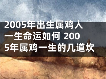 2005年出生属鸡人一生命运如何 2005年属鸡一生的几道坎