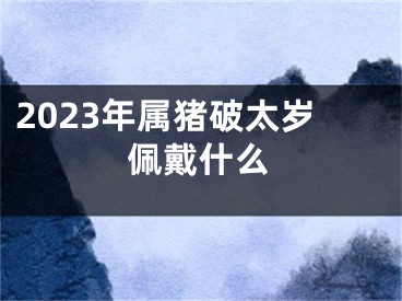 2023年属猪破太岁佩戴什么