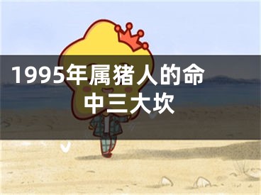 1995年属猪人的命中三大坎
