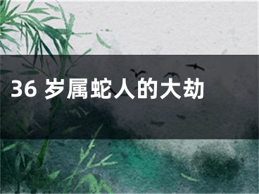 36 岁属蛇人的大劫