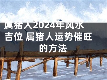 属猪人2024年风水吉位 属猪人运势催旺的方法