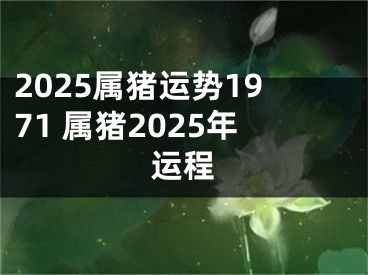 2025属猪运势1971 属猪2025年运程