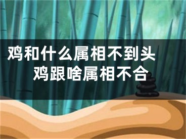 鸡和什么属相不到头 鸡跟啥属相不合