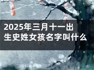 2025年三月十一出生史姓女孩名字叫什么