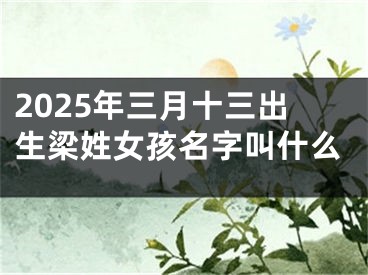2025年三月十三出生梁姓女孩名字叫什么