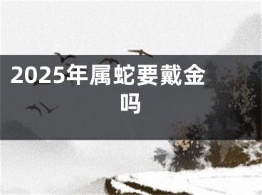 2025年属蛇要戴金吗