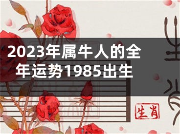 2023年属牛人的全年运势1985出生